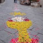 Petals, after a wedding party passes through Lucignano