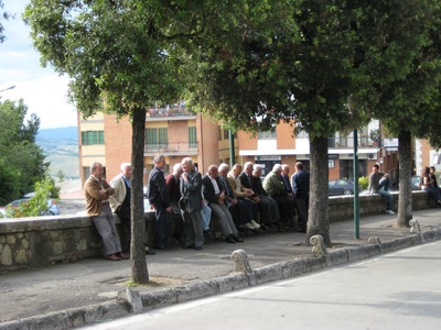 A congregation of grey hairs enjoying the sun.