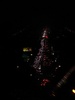 The lights mark the road