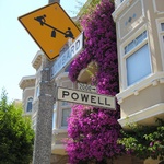 Powell was another trusty friend