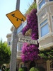 Powell was another trusty friend