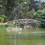 A pretty bridge in Golden Gate Park