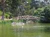 A pretty bridge in Golden Gate Park