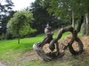 An up tight tree?