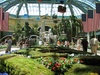 Funky shooting fountains inside the Bellagio