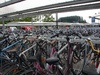 Millions of bikes parked at the train station.