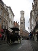One of the hundreds of horse drawn carts racing the tourists through the streets.