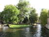 Pretty greenery around the canals.