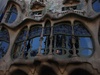 Organic nature inspired windows