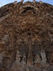 Amazing detail
