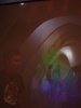Gaudi waving to Tom