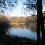 A very picturesque setting in Central Park