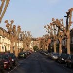 Fordwych Road after a haircut