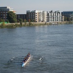 Rowing on the Thames