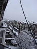 Look what we woke up to this morning, snow! why of course in April. Pretty magical