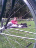 Biked to Minnewater Park for our beer picnic and to relax in the beautiful flower gardens.