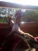 Summer has hit us early as I don my shorts and jandles for the 6th day in a row!