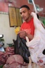The freshest chicken or Rooster? - its friends are still out the back