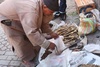 Almond man, with his scales