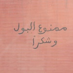 Interesting Arabic writing isn't it? I wonder what is says?