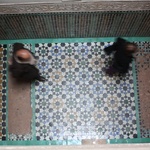 Hallways in the doms for the students