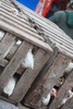 Fresh Poultry 