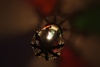 Beautiful hand made lights