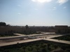 The old grounds and gardens, full of oranges