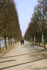 Long walks in the gardens by the Louvre