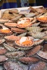 Argghhh thats were Scallops come from!