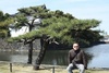 Imperial Gardens