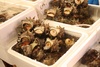 Seafood