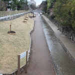 Walk along Kyoto's canal
