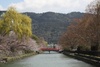 Cute red bridge