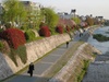 By the river in Kyoto