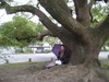 Breakfast in the park with a spot of rain