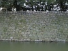 The wall