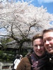 a very white blossom tree
