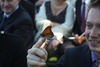 The butterfly stretches its wings!