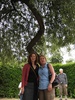 Proof that we made it to the middle of the maze!