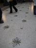 Lots of busy bees!