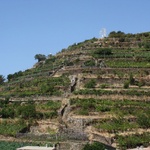 Vineyards stacked up the hillsides