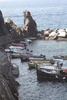 Many a boat in the cute marina