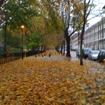 November: Long walk home after conference, the rain begins...
