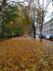 November: Long walk home after conference, the rain begins...