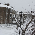 The morning of snowday