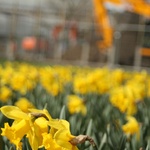 March :Spring is upon us!