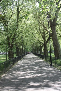 Highbury fields walk through, another local park