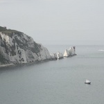 The needles