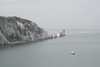 The needles